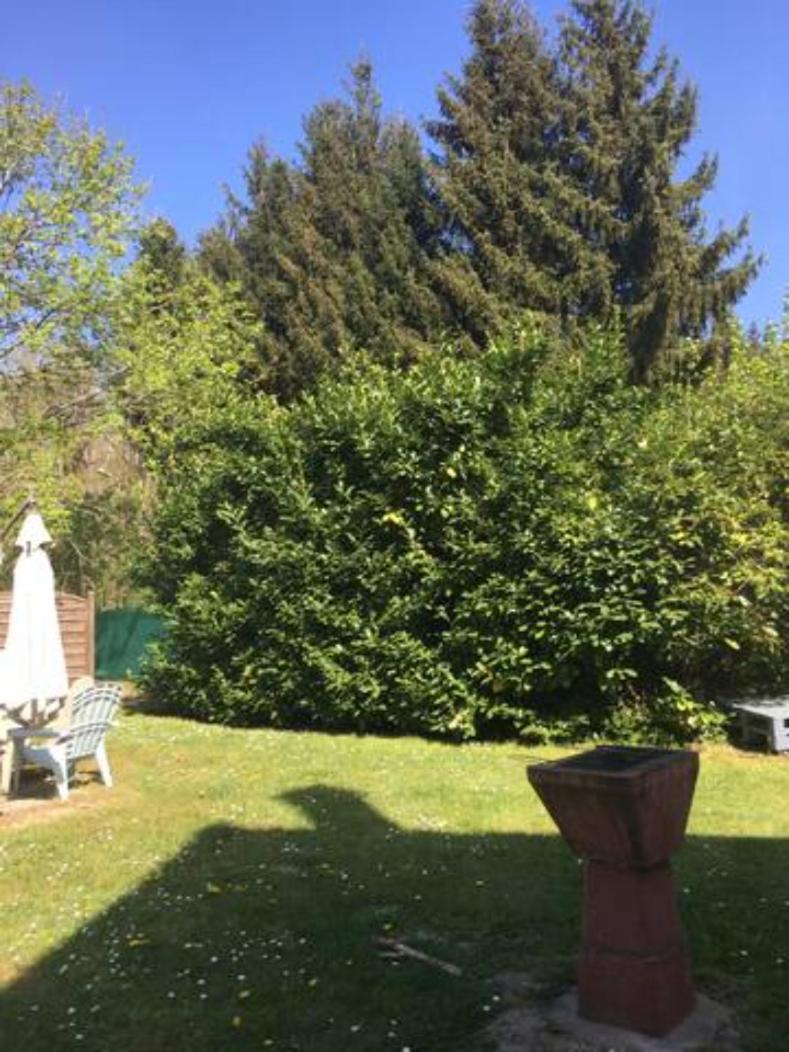Gite cosy proche Fontainebleau et foret Noisy-sur-Ecole Esterno foto